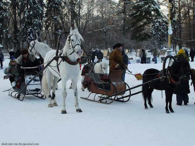 Зима в Сокольниках.