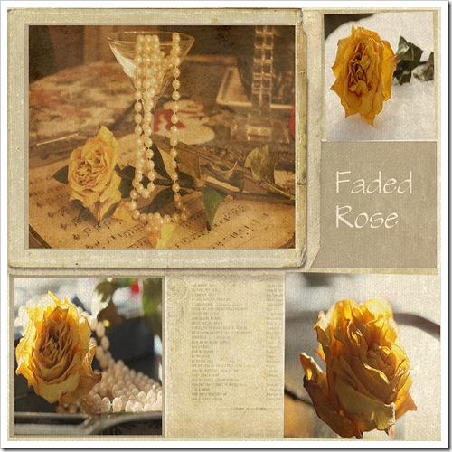 Faded Rose on Kristys collage template