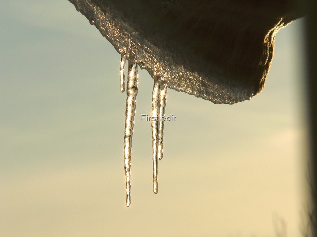 [Sparkly icicles[19].jpg]