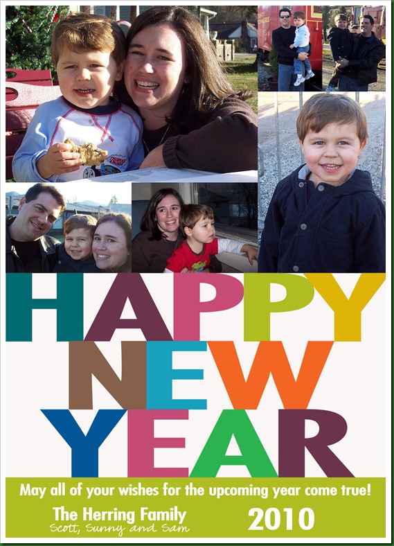 New Year's card 2010