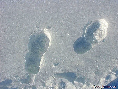 [Footprints In The Snow[11].jpg]