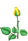 9541e104bedcfb20b3222ea2a6df4c7c_ra.png
