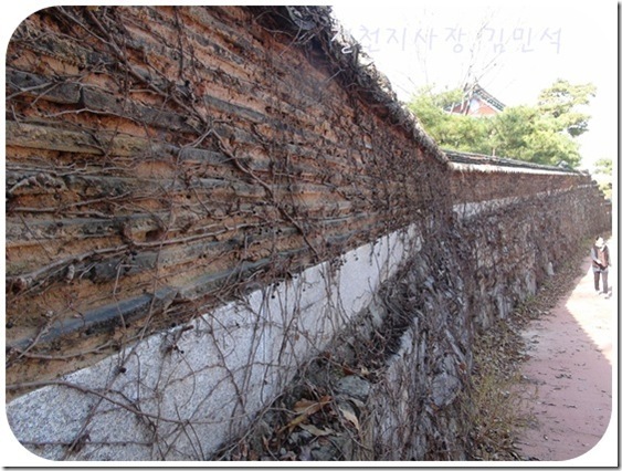 철천지DSC05067-20101113_thumb[9]