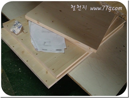 철천지DSC00305-20101115