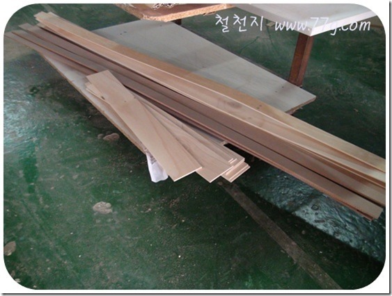 철천지DSC05125-20101116_thumb