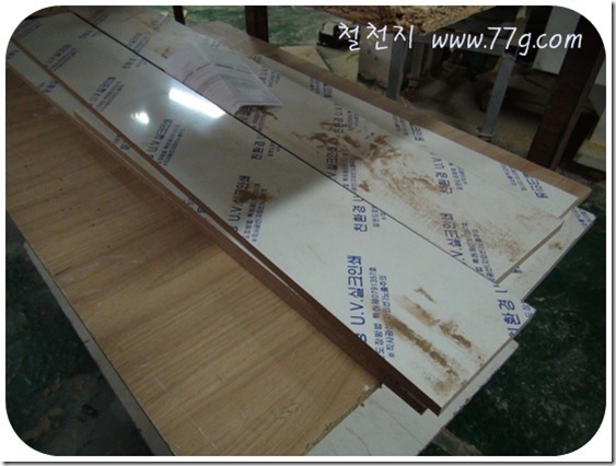 철천지DSC05137-20101116_thumb