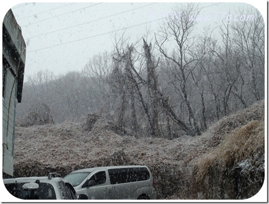 철천지DSC05729-20101208
