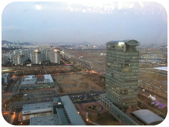 [  ÀIMG_0411-20101226[3].jpg]