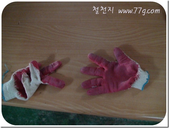철천지DSC06306