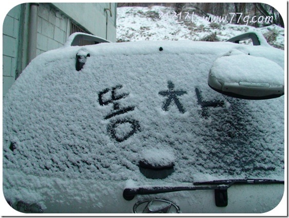 철천지DSC06284
