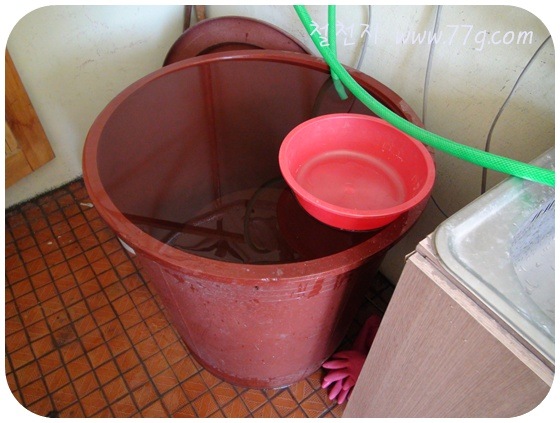 [DIY1027DSC06476-20110117[3].jpg]