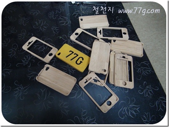 DIY1027DSC06488-20110118