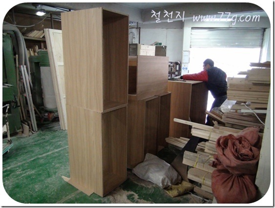 DIY1027DSC06499-20110120