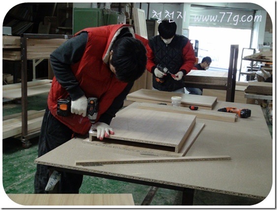 DIY1027DSC06503-20110120