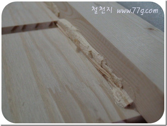 철천지DSC06506-20110121