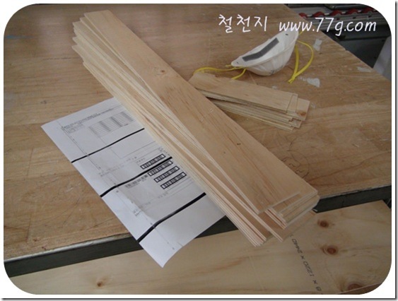 철천지DSC07647-20110329