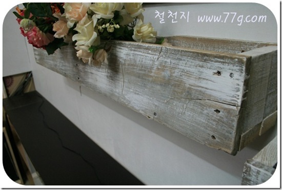 철천지IMG_9348-20110415-173336