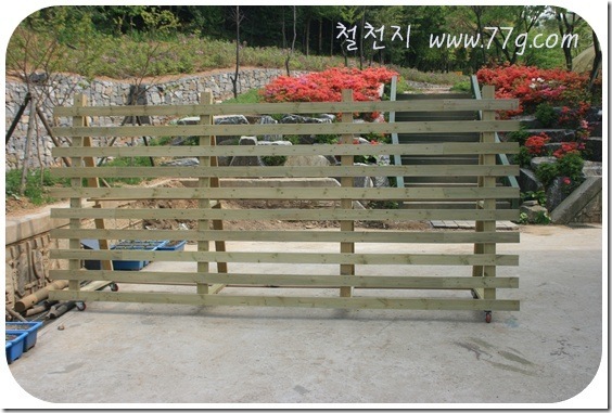 철천지IMG_9868-20110517-151934