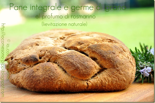 Pane integrale e germe di grano al profumo di rosmarino (lievitazione naturale)