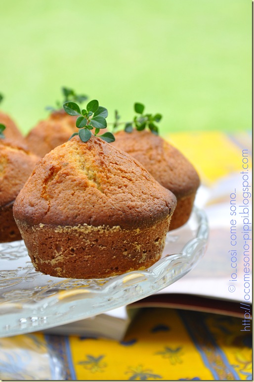 Mini cakes al miele limone e timo3 Mini cakes al miele limone e timo3