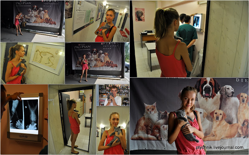 ЗОСЯ ПОЗНАЕТ МИР (ВЕТКЛИНИКА) 