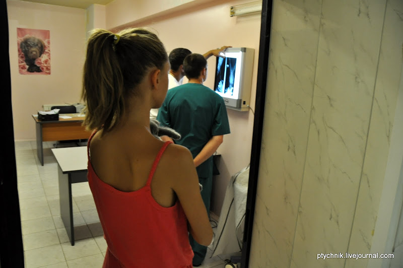 ЗОСЯ ПОЗНАЕТ МИР (ВЕТКЛИНИКА) 