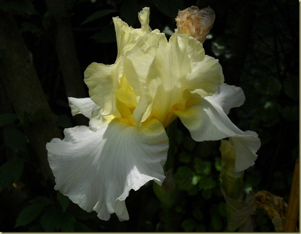 DSCN1627 DSCN1627