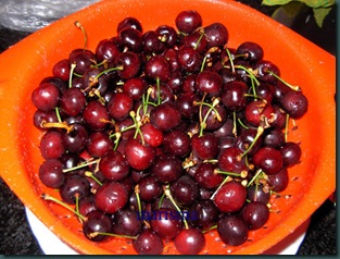 mermelada cereza (1) mermelada cereza (1)