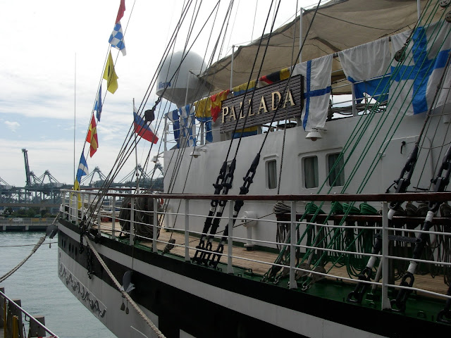 Какая она, Паллада? 