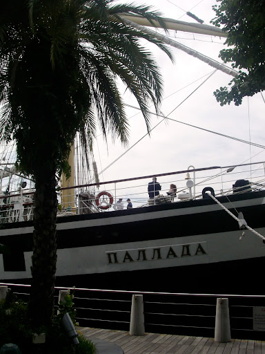 Какая она, Паллада? 