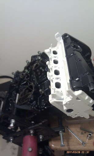 IMAG0290.jpg
