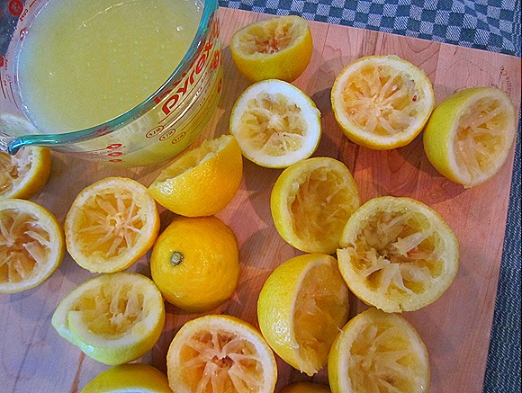 Fresh-Squeezed