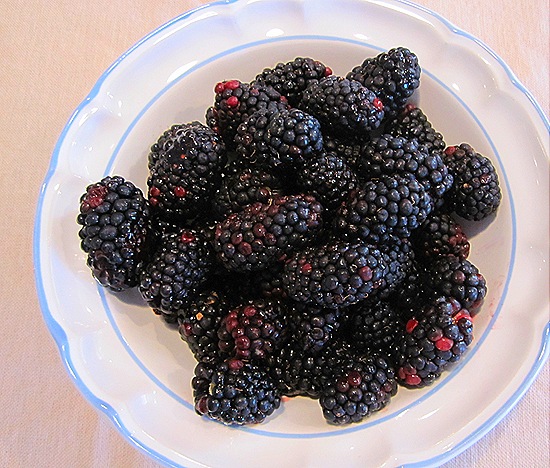 Fresh Blackberries