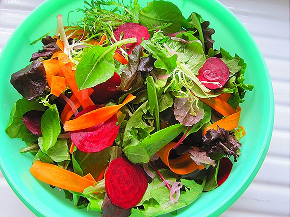 Mixed Greens Salad with Carrots, Beets & Pickled Onions