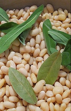 White Beans, Sage & Bay