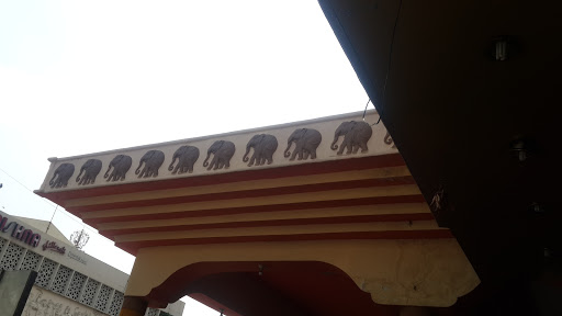 Walking Elephants 
