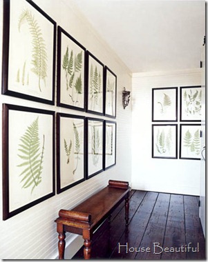 house beautiful botanical prints