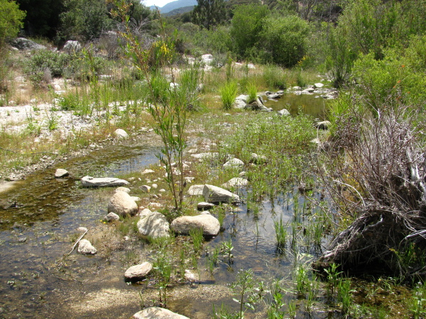 Crossing of Alder Creek.