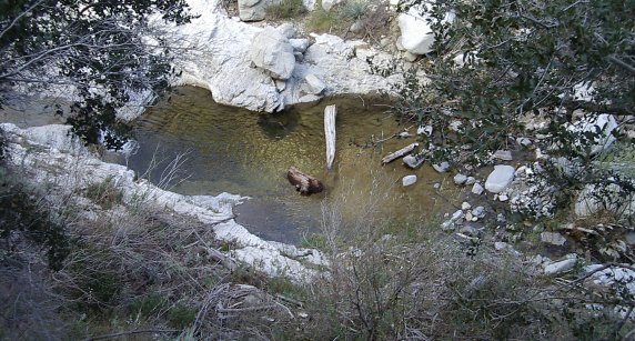 swimming hole