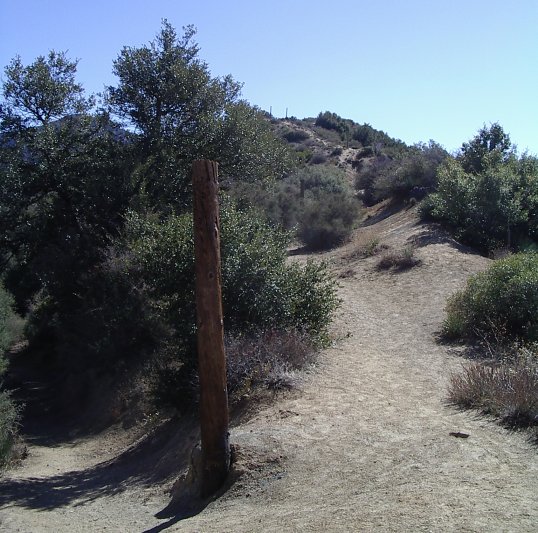 Poles in a line up the hillside toward the road to the south.