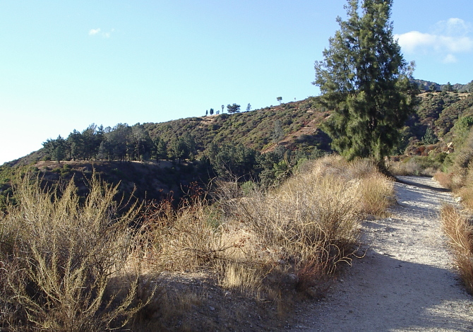 First really look at the flats coming up the toll road.