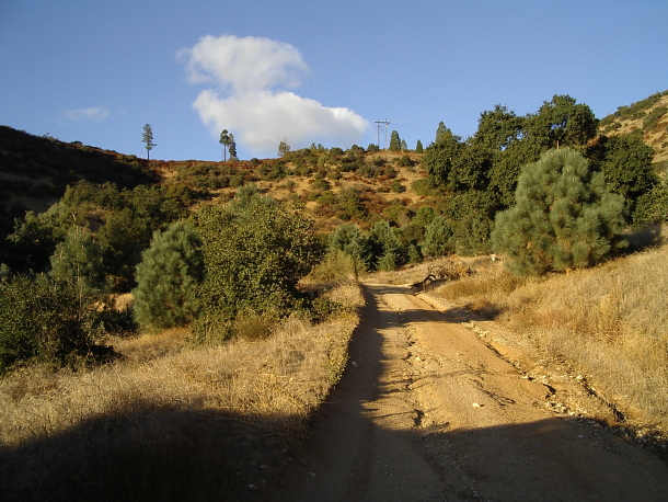 The road continues, passable by autos, above the nursery.