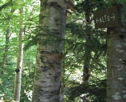 Long Trail marking sign.