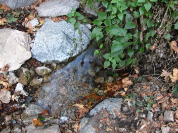 A small creek along the way with a little water.