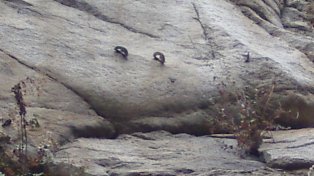closeup of holds