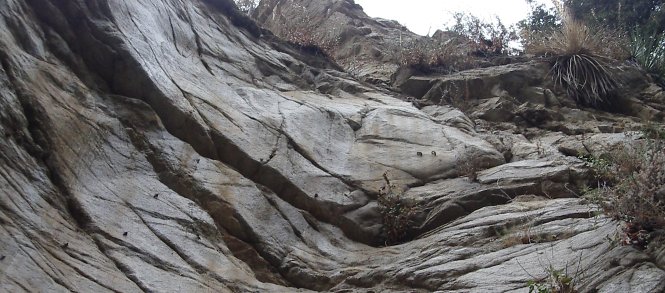 holds for rope climbing in the rock wall