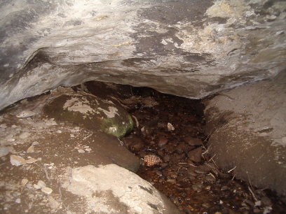 The water oozes out of the ground at the far back end of the cave.
