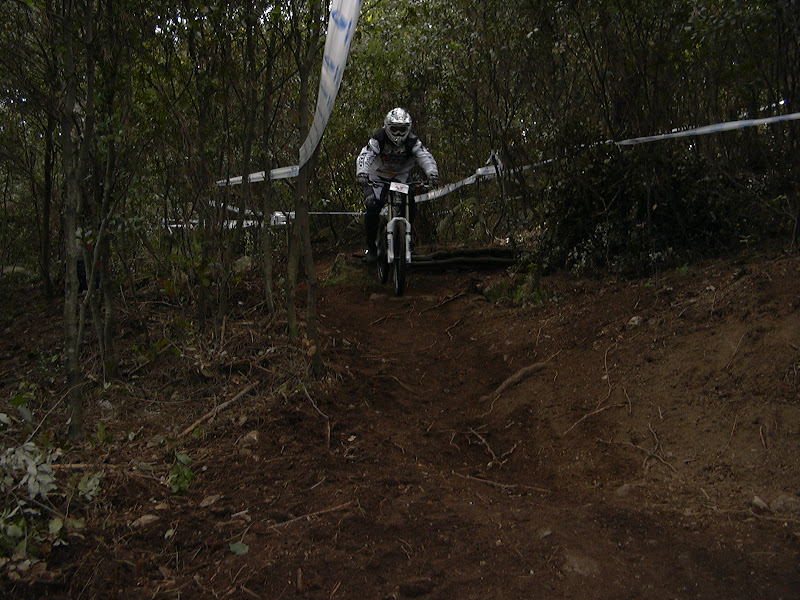 P1000254.JPG