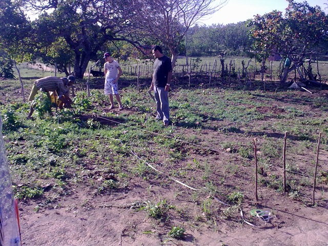 [070120111558[3].jpg]