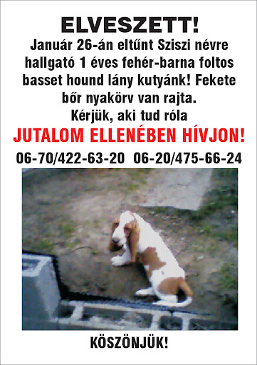 elveszett_sziszi.jpg